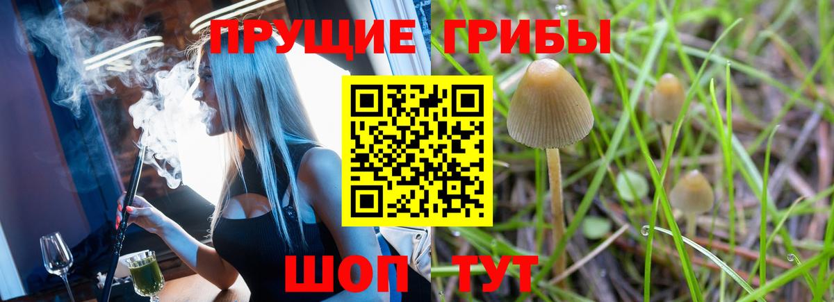Галлюциногенные грибы мухоморы  Вход с VPN  Псилоцибиновые грибы мухоморы  Бутурлиновка 